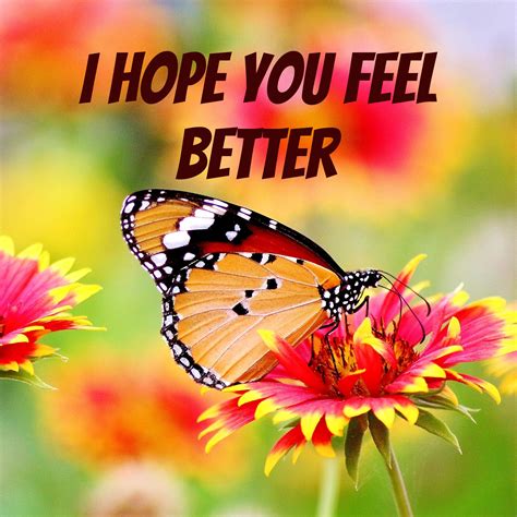 Hope you are feeling better. Things To Know About Hope you are feeling better. 